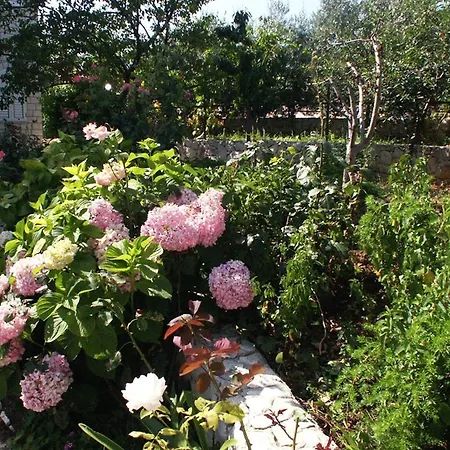 Apartman By The Sea Rastici, Ciovo - 2104